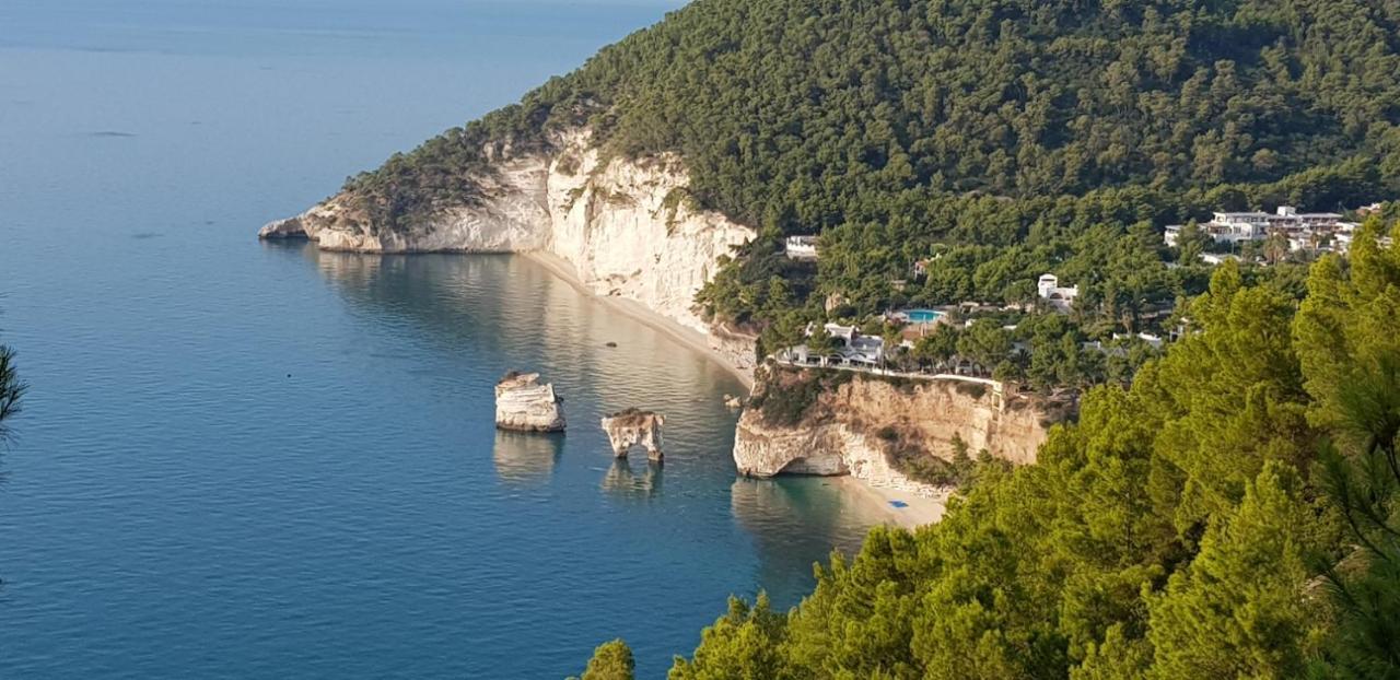 Villa Cala Della Pergola Vieste Exteriör bild